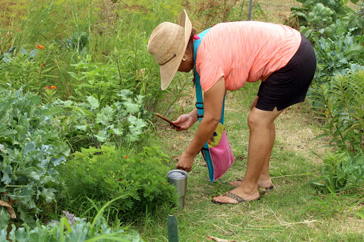 Keepers Of The Garden - Tom Graham Park image 9