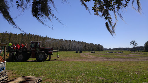 Ranch «Smith Family Ranch, LLC», reviews and photos, 13444 Moore Road, Lakeland, FL 33809, USA