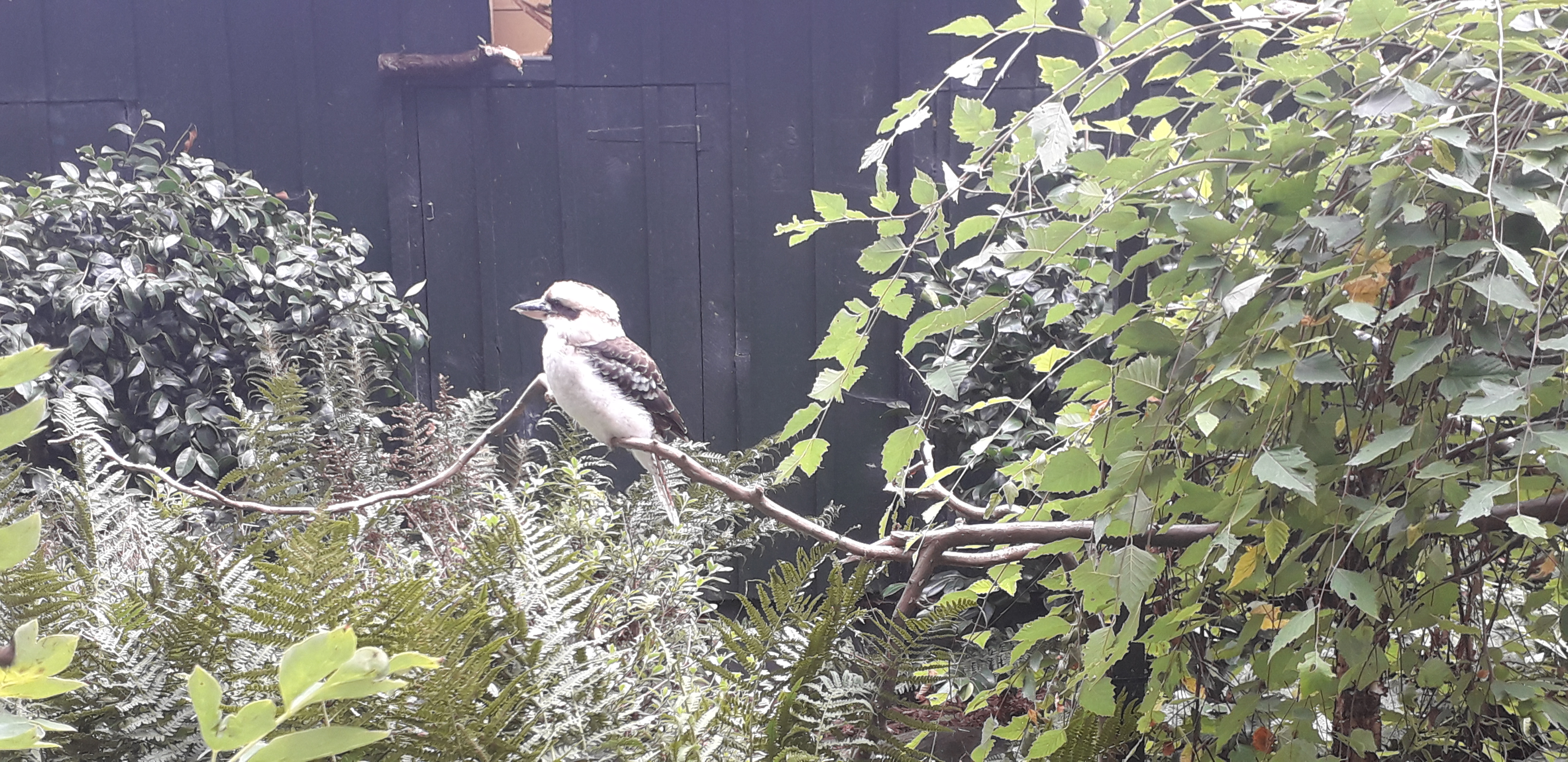 Photo n° 41 de l'avis de lilou.i fait le 19/09/2020 à 16:48