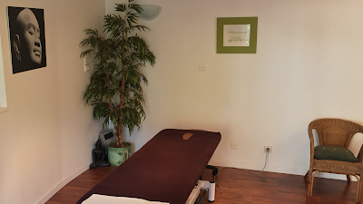CABINET OSTEOPATHIE Jérémy Excoffier à Talloires-Montmin