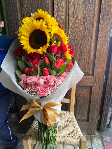 Florería Las Gemelas – Zapotlanejo