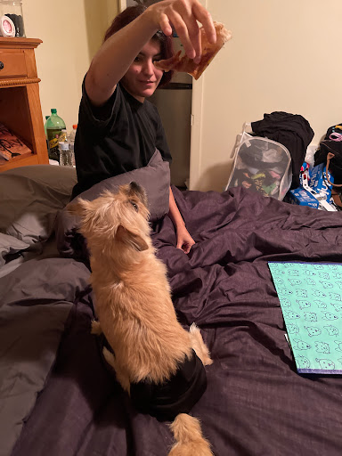 Pet Supply Store «Petco Animal Supplies», reviews and photos, 1483 NJ-23 #14b, Kinnelon, NJ 07405, USA