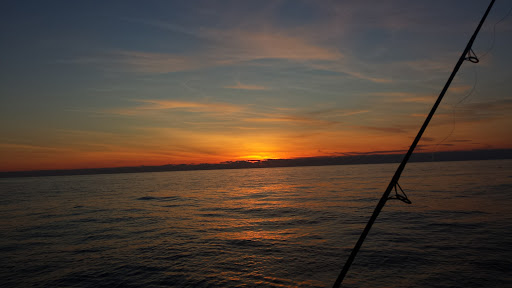 Craft Store «Michaels», reviews and photos, 15600 Panama City Beach Pkwy #540, Panama City Beach, FL 32413, USA