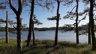 Honda à Plurien