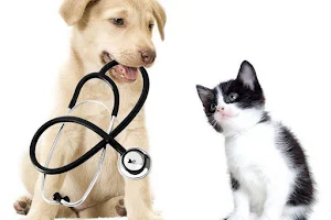 Ruffin Dott. Gianni clinica veterinaria image