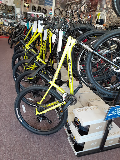 Bicycle Store «Bike Lane», reviews and photos, 17937 I-45, Shenandoah, TX 77385, USA