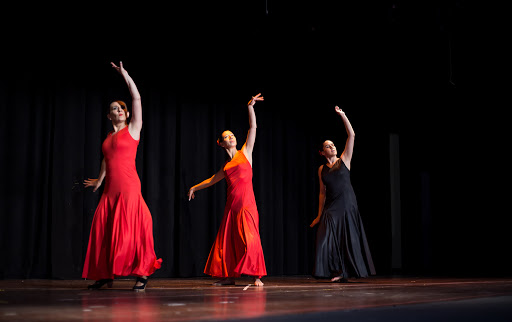 Ballet & Flamenco, Dance and Fitness Studio
