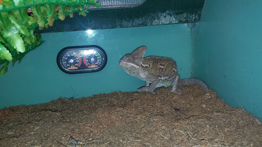 Pet Supply Store «Pet Supplies Plus», reviews and photos, 7570 Pearl Rd, Middleburg Heights, OH 44130, USA