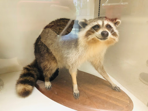 Wildlife Park «Wildlife & Ecology Center», reviews and photos, 249 Buckley Rd, Holtsville, NY 11742, USA