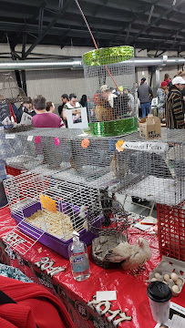 Scott Smith's All Animal Expo - Photo 8 - Car repair in St. Charles, IL, Naperville