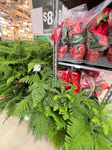 Home Improvement Store «The Home Depot», reviews and photos, 3860 Northlake Blvd, Lake Park, FL 33403, USA