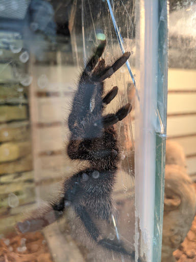 Pet Supply Store «Animal House Pets LLC», reviews and photos, 217 W 14th St, Marshfield, WI 54449, USA