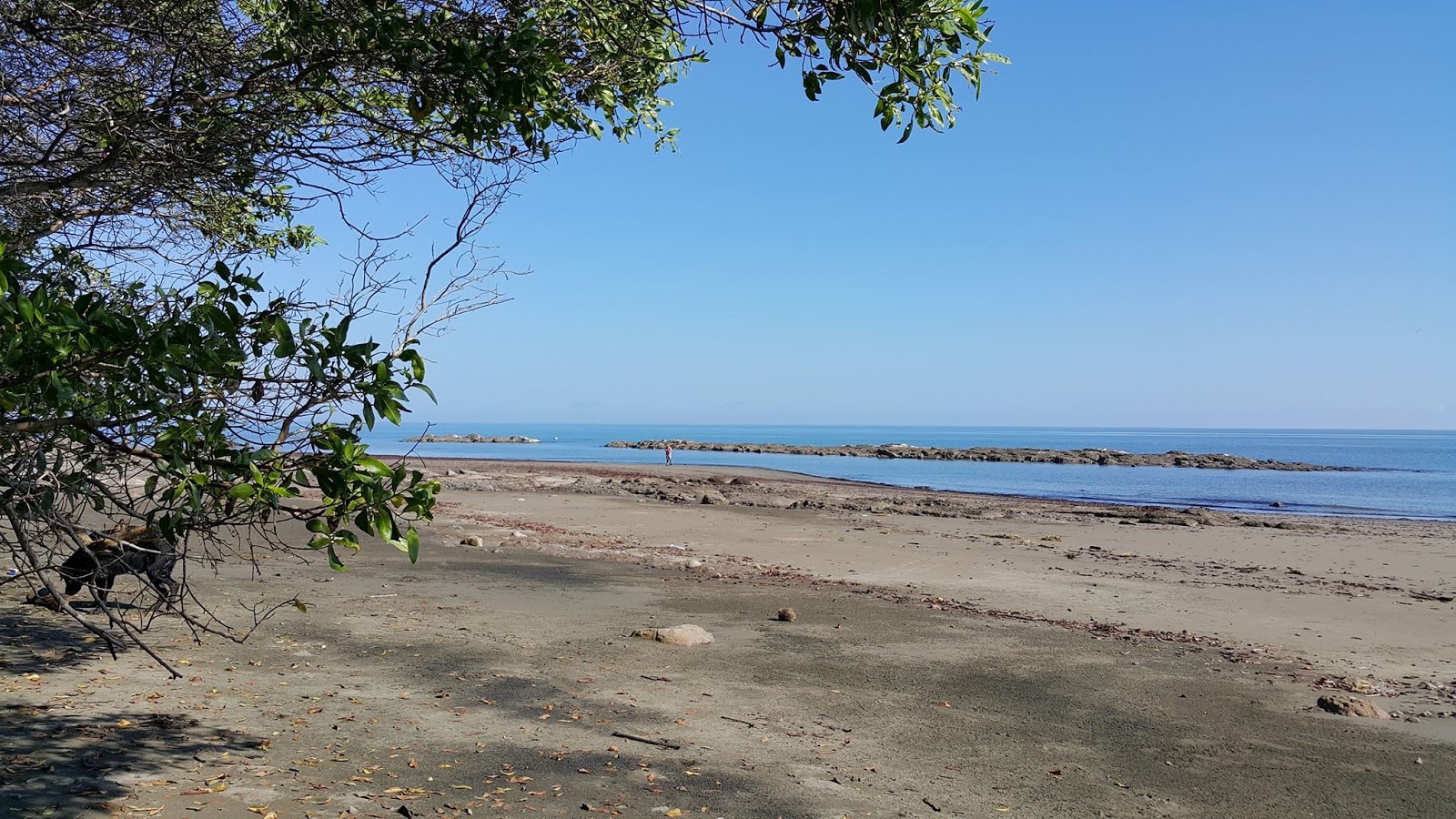 Fotografija Candelaria Beach II z dolga ravna obala