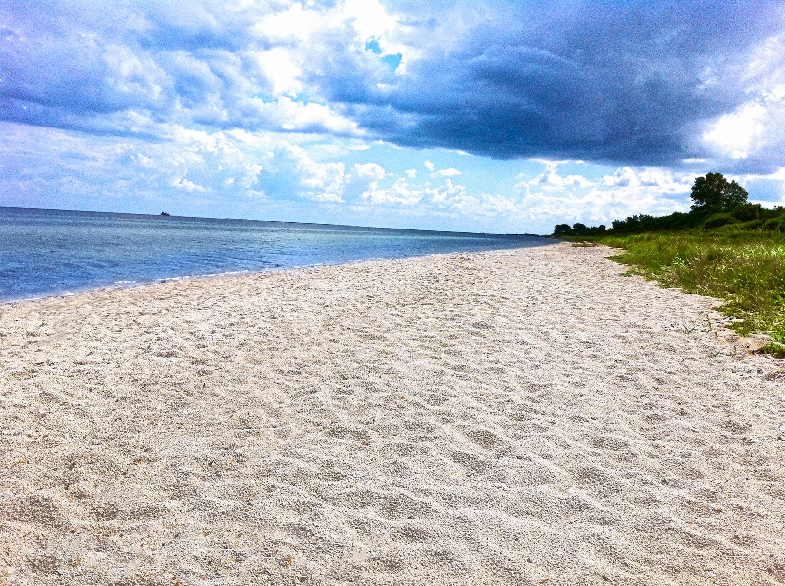 Foto von Dyngby Beach wilde gegend
