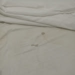 Photo n°1 de l'avis de C... fait le 22/05/2019 à 22:02 sur le  Picaflor Art & Rooms à Milan