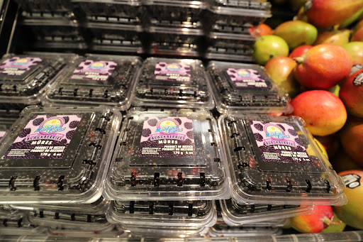 Grocery Store «Food Lion», reviews and photos, 110 Broadkill Rd, Milton, DE 19968, USA