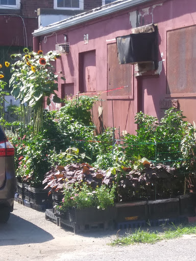 Supermarket «Exito Fresh Market», reviews and photos, 176 Broadway, Long Branch, NJ 07740, USA