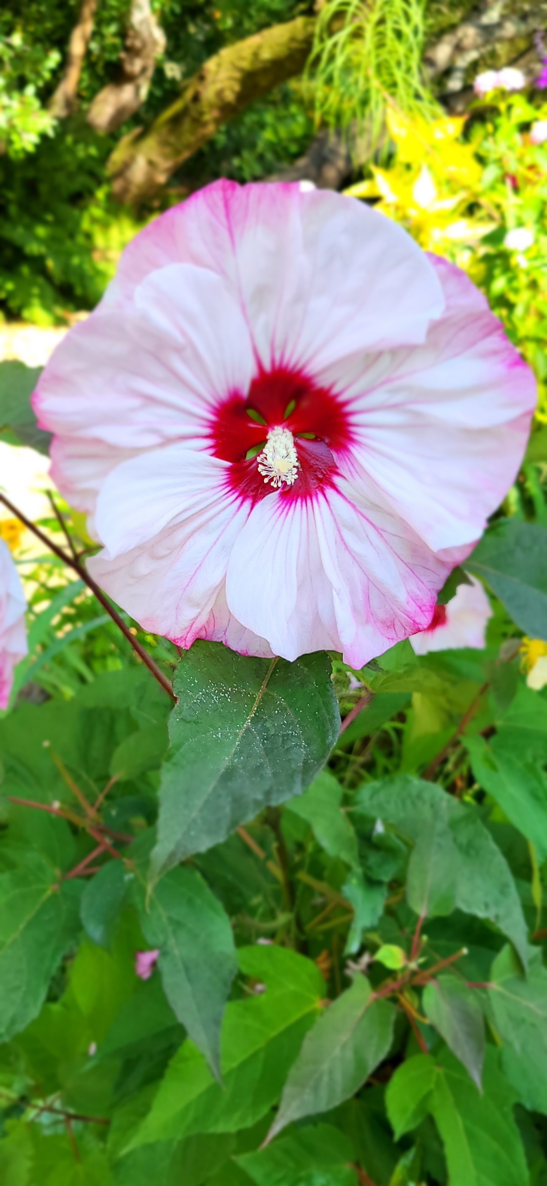 Photo n° 5 de l'avis de Béa.� fait le 21/08/2023 à 12:03