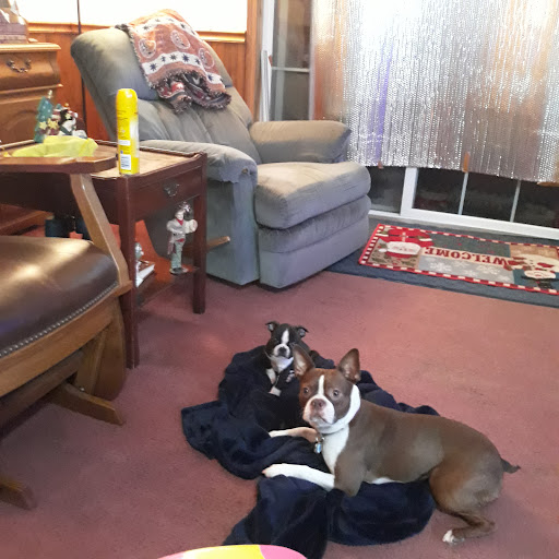 Grocery Store «Freedom Country Store», reviews and photos, 9564 IN-67, Worthington, IN 47471, USA