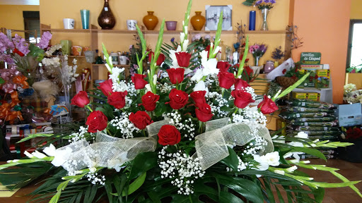 Flores Carmen en Valderas, León