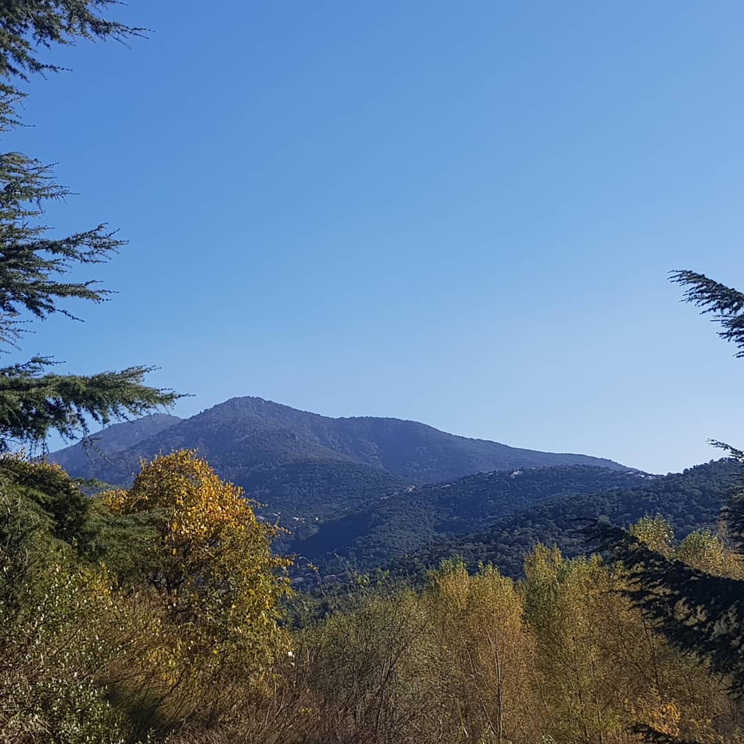 Photo n° 2 de l'avis de Fly. fait le 17/11/2020 à 19:42