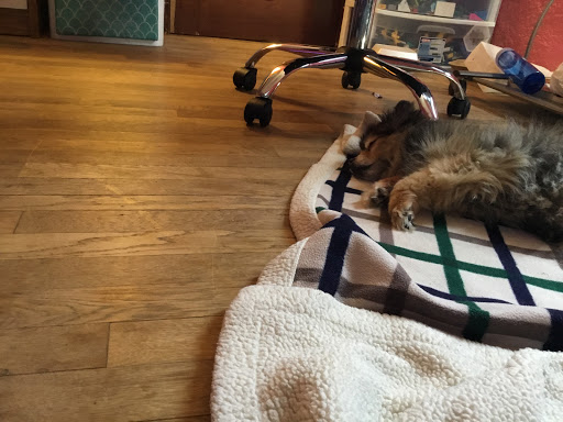 Toy Store «The LEGO Store», reviews and photos, 2855 Stevens Creek Blvd, Santa Clara, CA 95050, USA