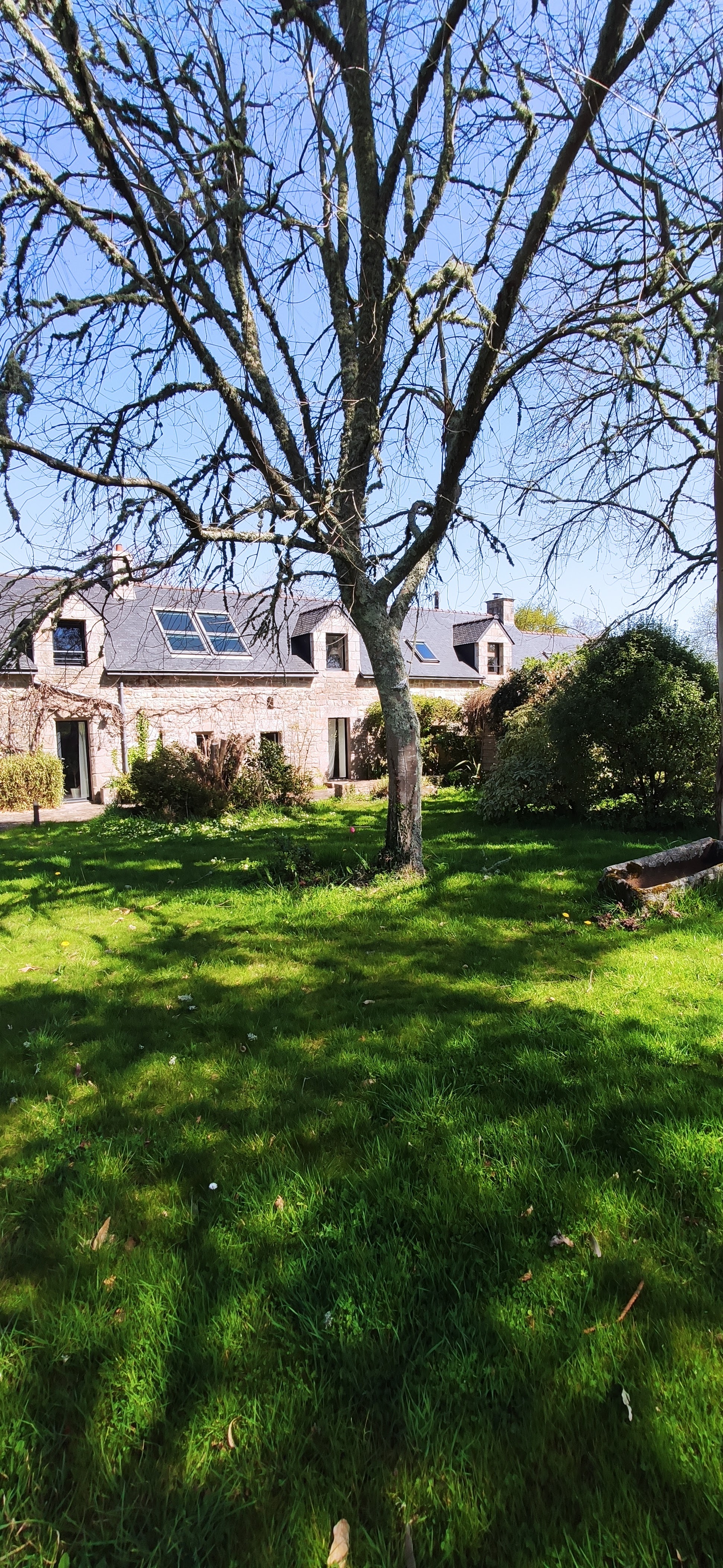 Photo n° 4 de l'avis de Pierre.a fait le 05/04/2021 à 14:44