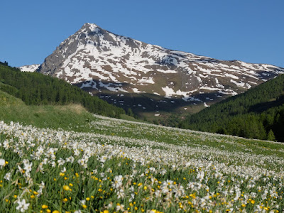 Fugues en Montagne à Cervières