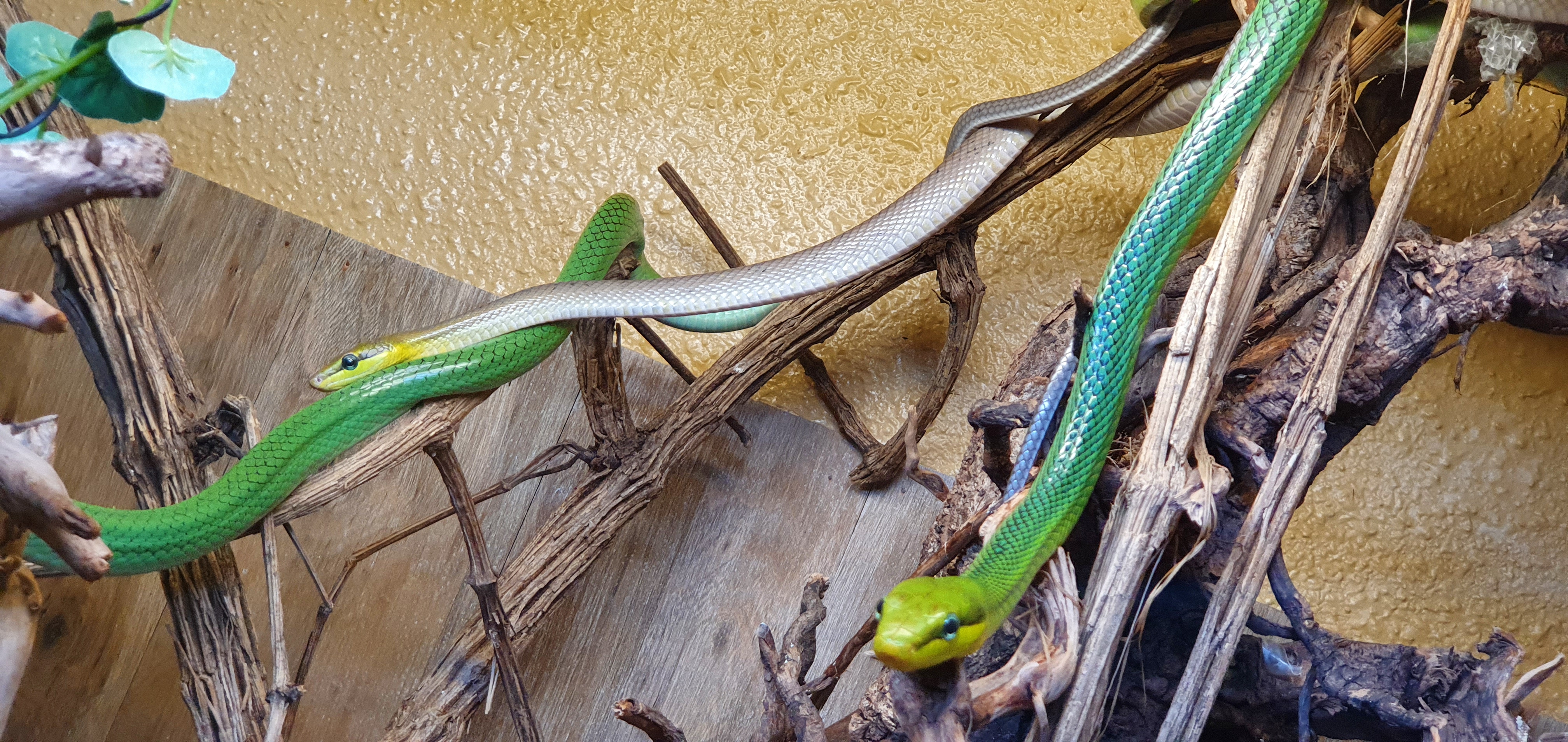 Photo n° 6 de l'avis de Laëtitia.E fait le 25/07/2020 à 00:11