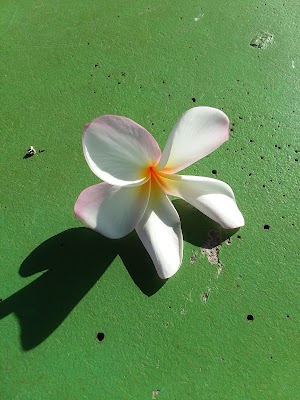 Wahikuli Wayside Park - photo 85