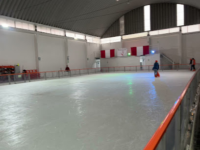 Pista de patinaje sobre hielo