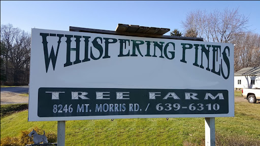 Whispering Pines Tree Farm