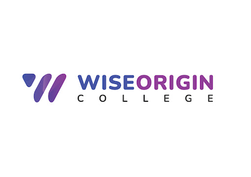 Wise Origin College