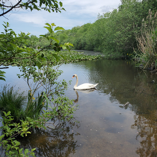 Park «Mansfield Park», reviews and photos, 85 Walker St, Massapequa Park, NY 11762, USA