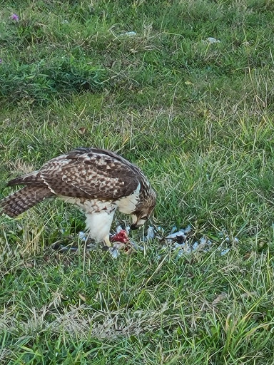 Outdoor Sports Store «Whitewater Warehouse Inc», reviews and photos, 104 Valley St, Dayton, OH 45404, USA