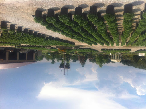 Garden Center «Salsbery Garden Center», reviews and photos, 6346 W Broadway, McCordsville, IN 46055, USA