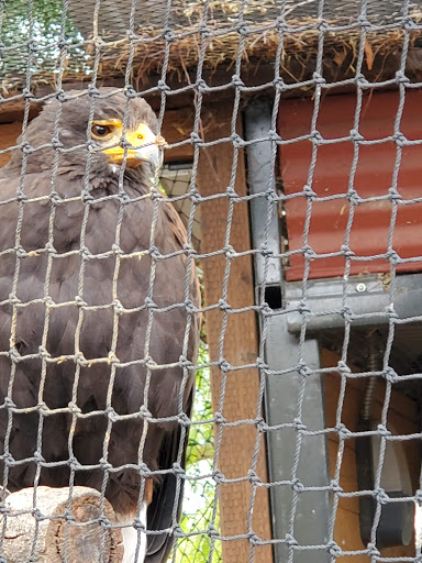 The Teaching Zoo at Moorpark College image