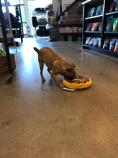 Pet Supply Store «Dog Dish», reviews and photos, 1778 Utica Square, Tulsa, OK 74114, USA