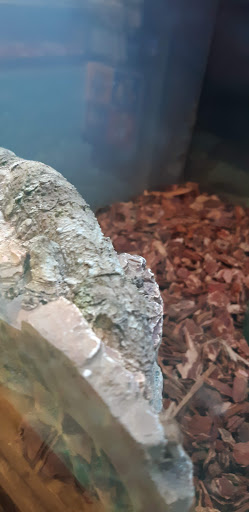 Pet Supply Store «Petco Animal Supplies», reviews and photos, 200 McMahan Blvd, Marion, OH 43302, USA