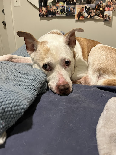 135 Dowd Ave, Canton, CT 06019, USA