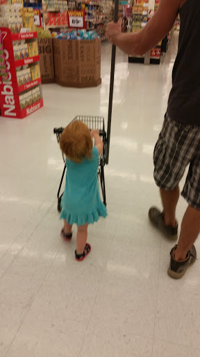 Grocery Store «Food Lion», reviews and photos, 558 W Main St, Stanley, VA 22851, USA