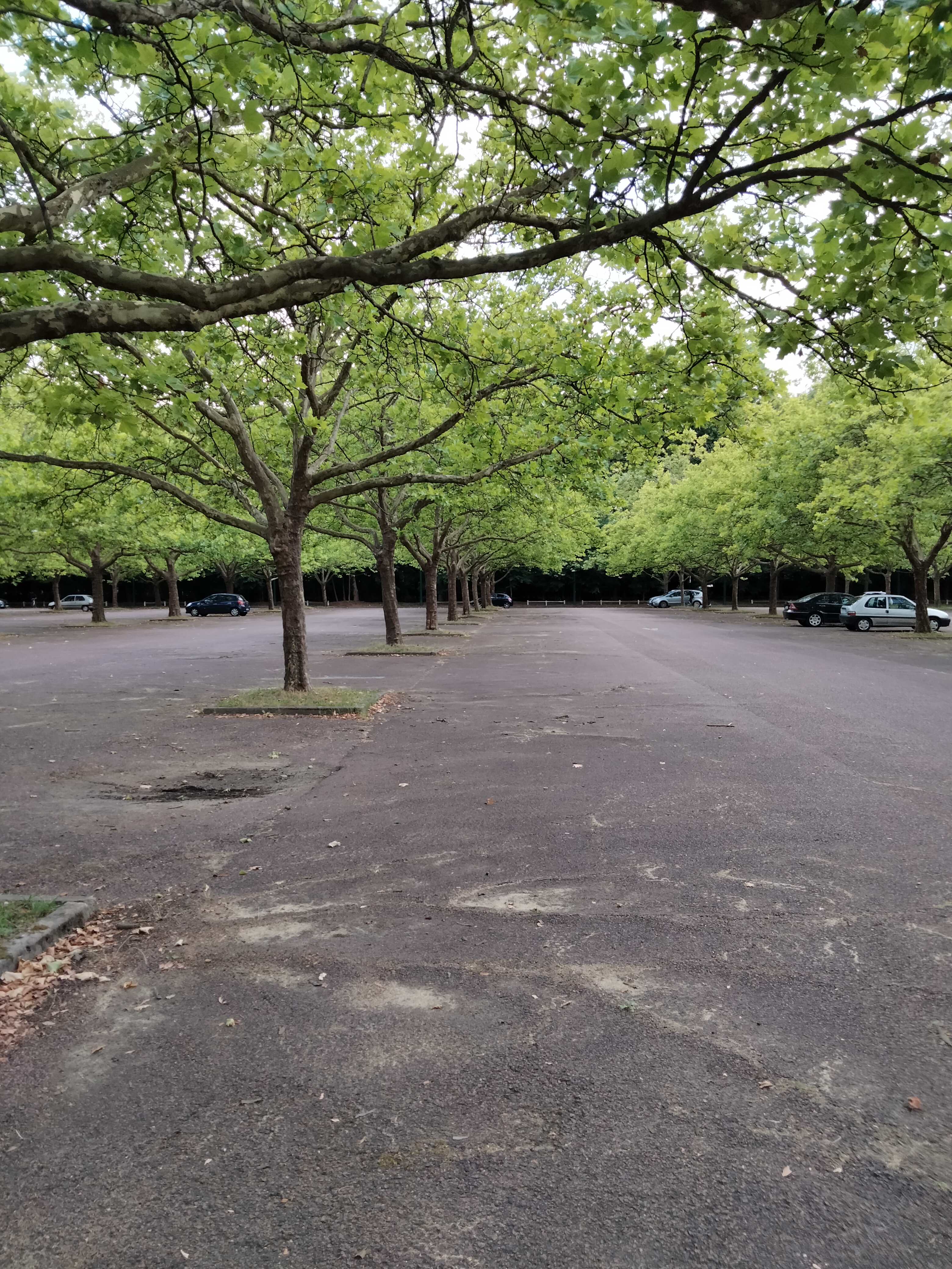 Photo n° 8 de l'avis de Béa. fait le 26/06/2022 à 17:04
