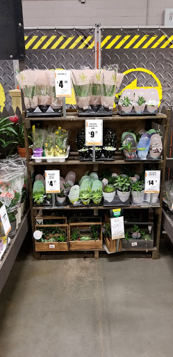 Home Improvement Store «The Home Depot», reviews and photos, 1550 Old Country Rd, Riverhead, NY 11901, USA