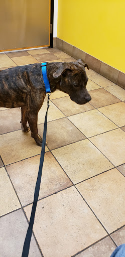 Pet Supply Store «PetSmart», reviews and photos, 916 Loganville Hwy, Bethlehem, GA 30620, USA