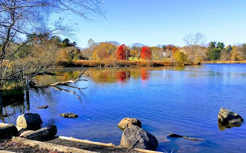 Fresh Pond image