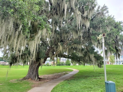 Golf Course «SouthWood Golf Club», reviews and photos, 3750 Grove Park Drive, Tallahassee, FL 32311, USA