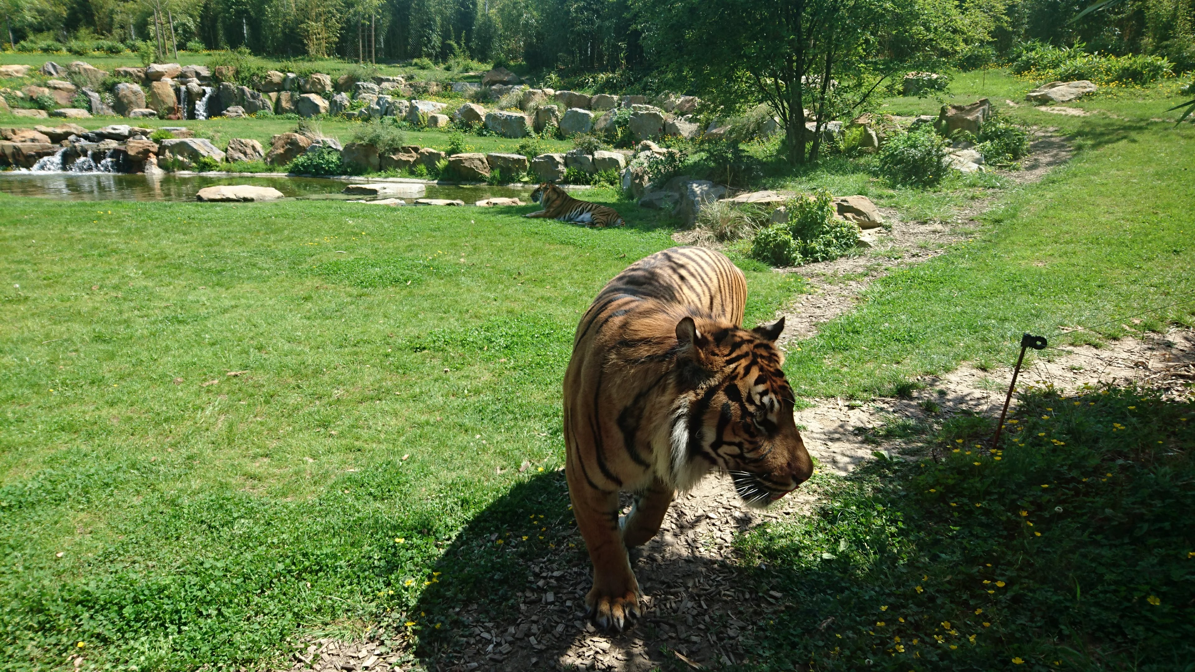 Photo n° 22 de l'avis de Pascale.o fait le 22/05/2019 à 18:23