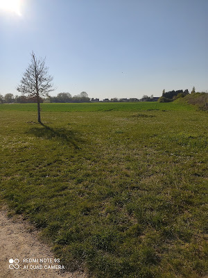 Bio Cambrésis à Cambrai