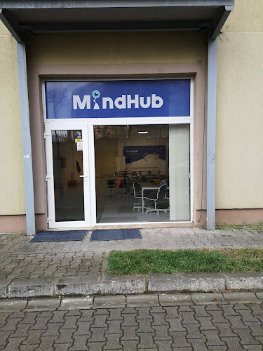 MindHub Cluj