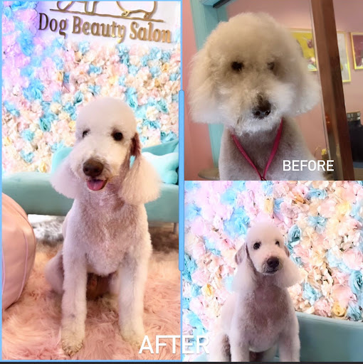 Dog Beauty Salon. Luxury Grooming, Boutique & Luncheonette image